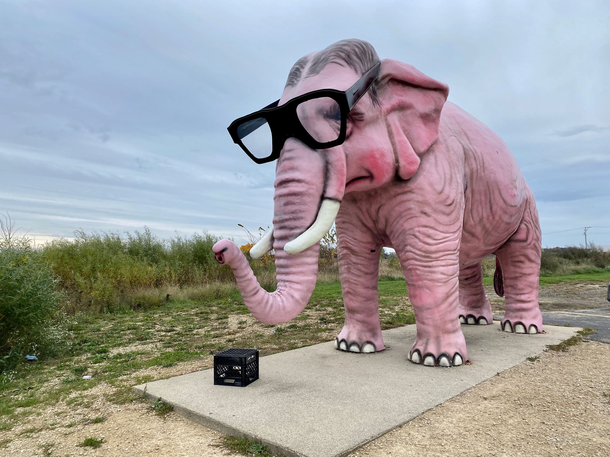 A large pink elephant figure wearing black-rimmed glasses on a concrete slab by the edge of a scruffy field of grass