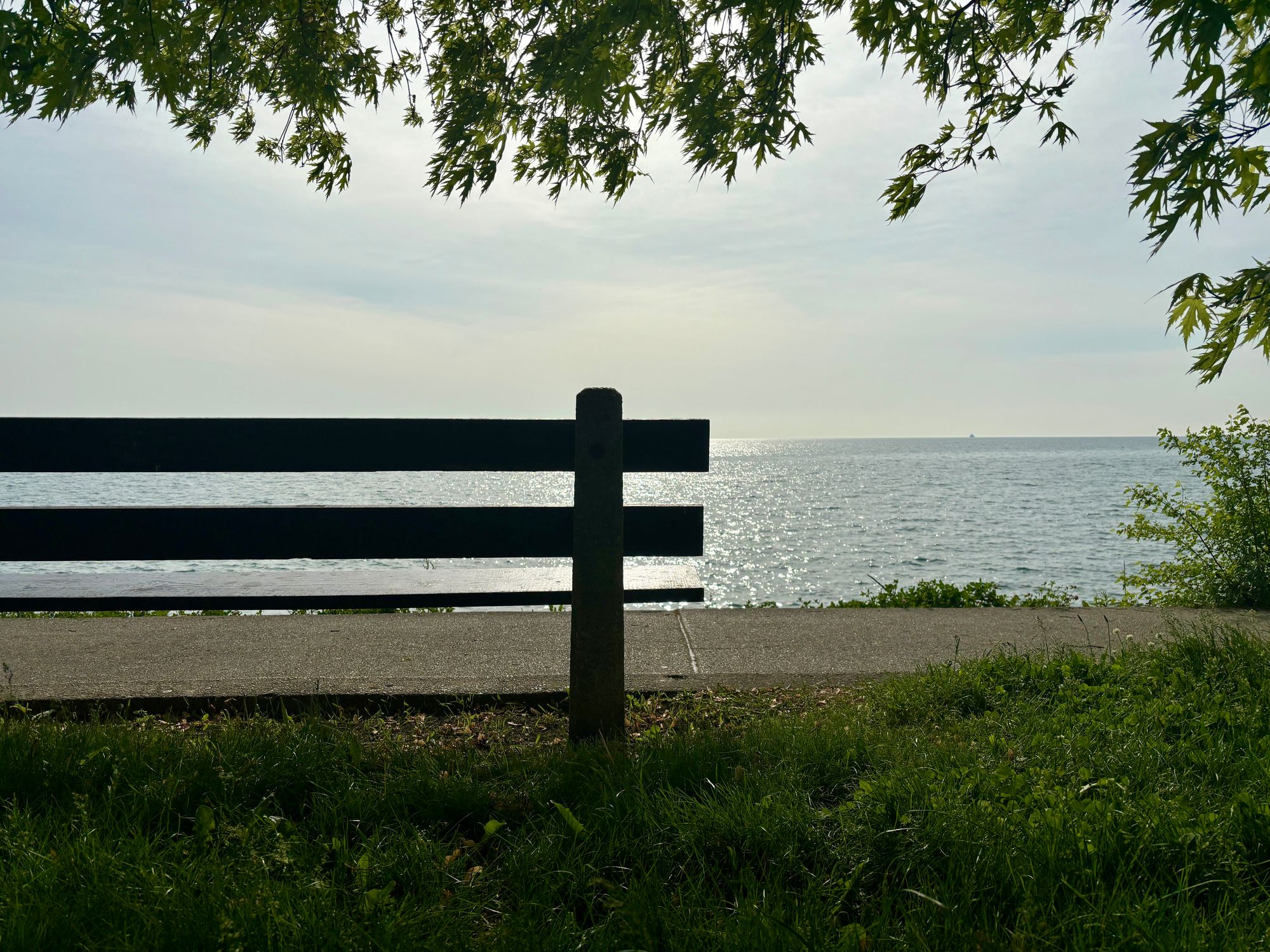 Portion of a silhouetted bench facing a sunny lake horizon, the frame edged with green tree leaves