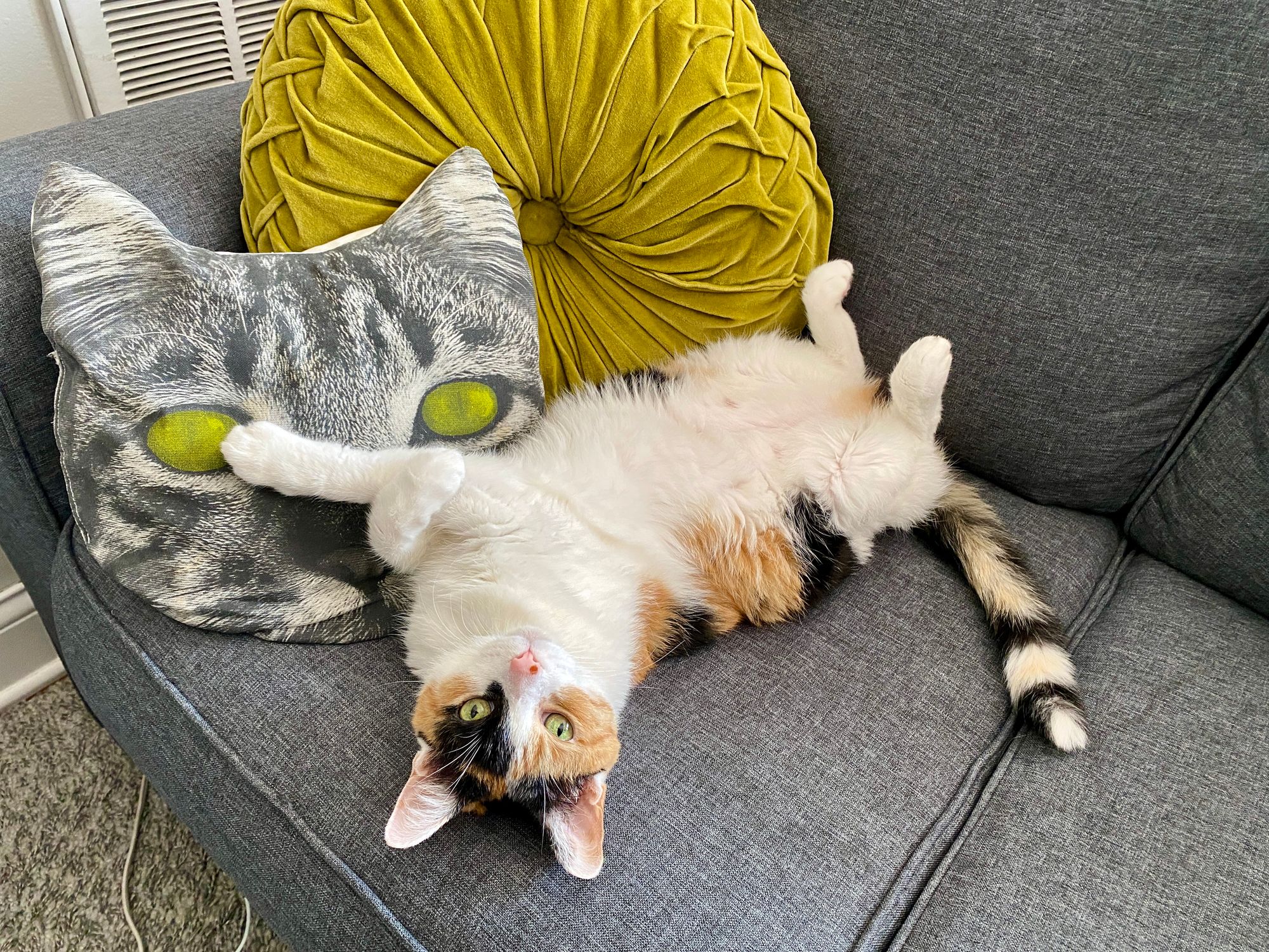 A calico cat lounging on her back and looking up at the camera with clear green eyes